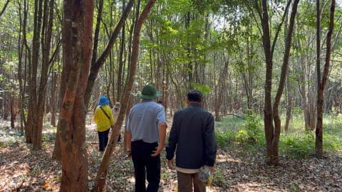 Du lịch trầm hương Việt Nam: Đánh thức “báu vật quốc gia” trên bản đồ kinh tế toàn cầu