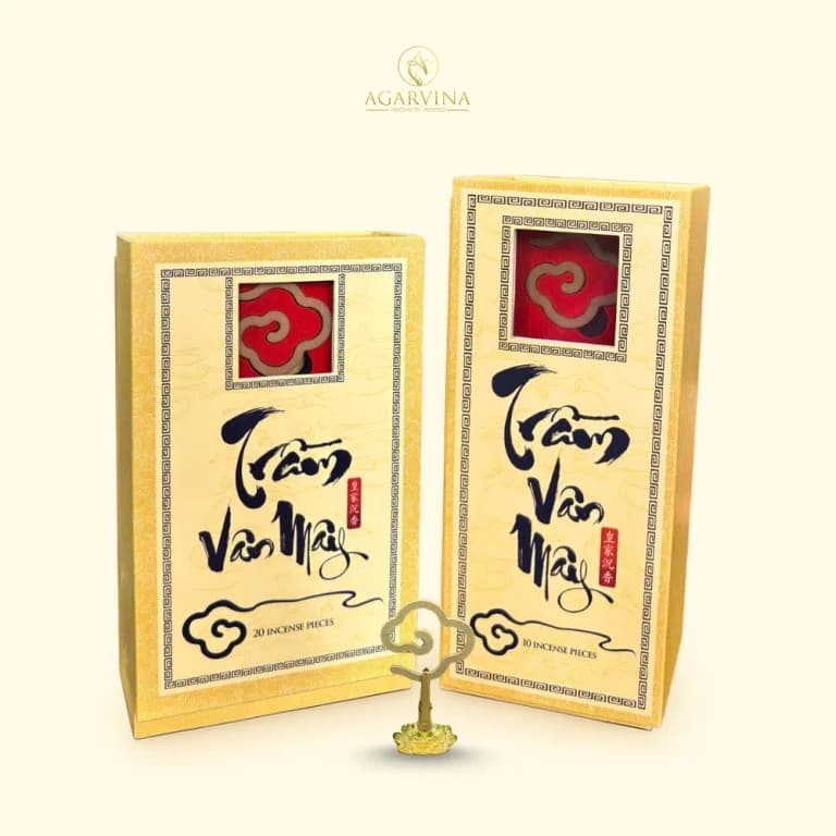 Trầm Vân Mây