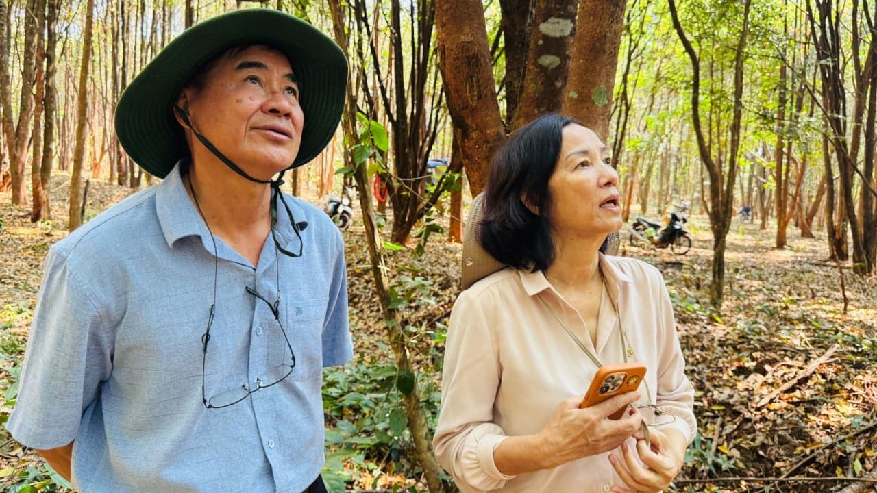 Leveraging agarwood forest ecosystems for therapeutic tourism: Potential and scientific basis